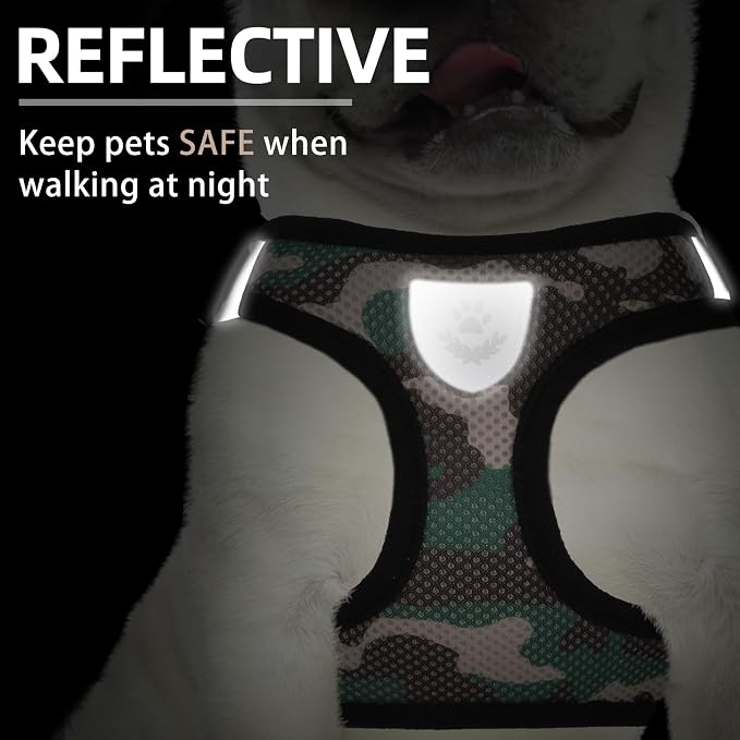 PUPTECK Dog Harness, Collar and Leash Set No Pull for Small Medium Sized | Soft Mesh Puppy Step-in Escape Proof Reflective No Choke Pet Cat Adjustable Walking Vest - Image 5