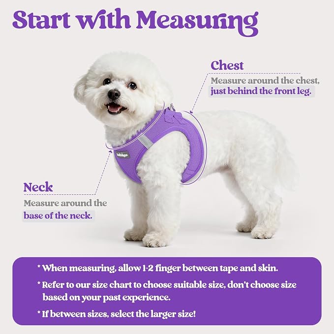rabbitgoo Dog Harness Medium Sized and Leash Set, Step-in Puppy Pet Vest | Light, Soft, Breathable Air Mesh, Easy on and Remove with Hook & Loop, Secure Reflective for Walking, Purple L - Image 2