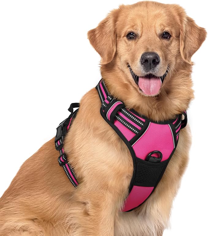 rabbitgoo Dog Harness, No Pull for Large Dogs with 2 Leash Clips, Pet Vest | No Choke with Handle, Adjustable Soft Padded, Reflective, Easy Control for Walking, Hot Pink, X-Large by rabbitgoo