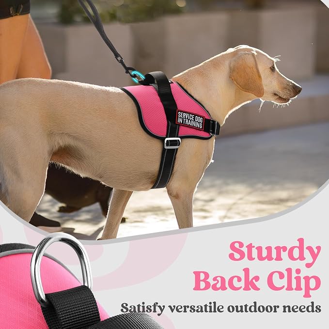 rabbitgoo Dog Harness for Small, Easy On Pet Vest with One Buckle, No Pull Adjustable Service Harness with D-Ring & Handle, Reflective for Safety Walking, Training, Pink, S - Image 8