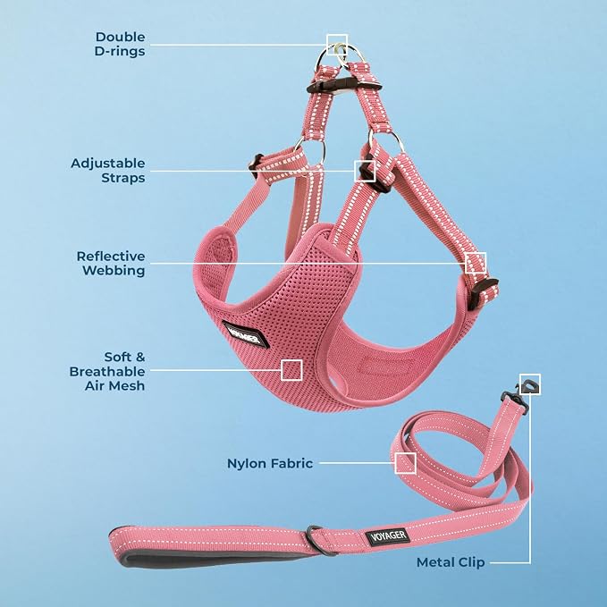 Best Pet Supplies Voyager Adjustable Step-in Flex Breathable Mesh Dog Harness for Small Medium Large Dogs Leash Set (Pink), S - Image 3