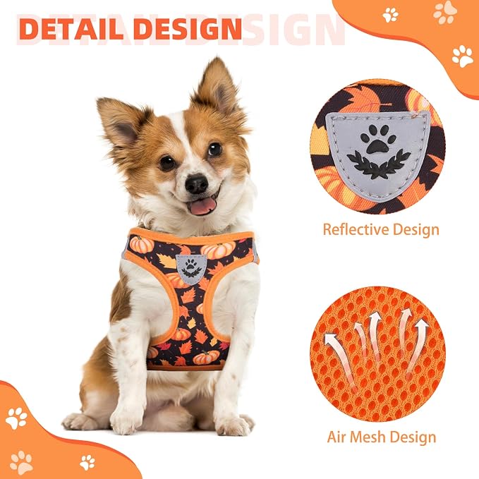 KOOLTAIL Fall Dog Harness and Leash Set for Small Medium Dogs, Thanksgiving Step in No Pull Comfort Padded Pet Vest, Adjustable Reflective Easy Walking Puppy Cats Harness Training, Leaf & Pumpkin M - Image 4
