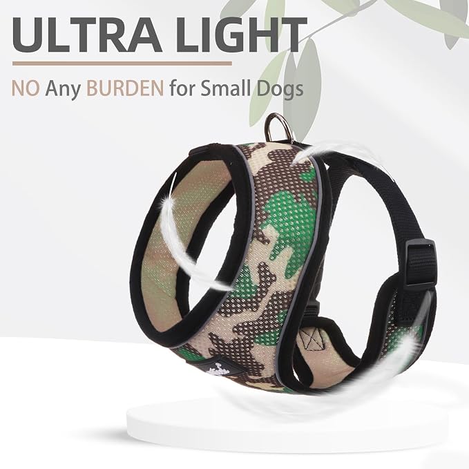 PUPTECK Small Dog Harness and Leash Set No Pull for XS XXS Sized Dogs Puppy | Escape Proof No Choke Pet Cat Adjustable Soft Padded Walking Vest - Image 5