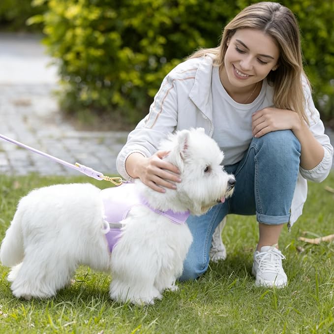 5FT Dog Leash 5/16 inch Puppy Cat Rope Lead | Light Purple, with Anti-tangle Swivel Clip, Comfortable Non-slip Grip Handle, Ideal for Daily Walks, for Small Medium Dogs - Image 7