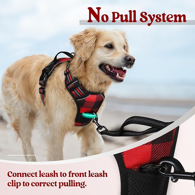rabbitgoo Dog Harness, No Pull for Large Dogs with 2 Leash Clips, Pet Vest | No Choke with Handle, Adjustable Soft Padded, Reflective, Easy Control for Walking, Red Plaid, Small - Image 5