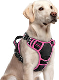 rabbitgoo Dog Harness for Large, No Pull 3 Buckles Easy On & Off | Soft Padded, Walking with Control Handle, Adjustable and Reflective, Black & Pink, Large by rabbitgoo