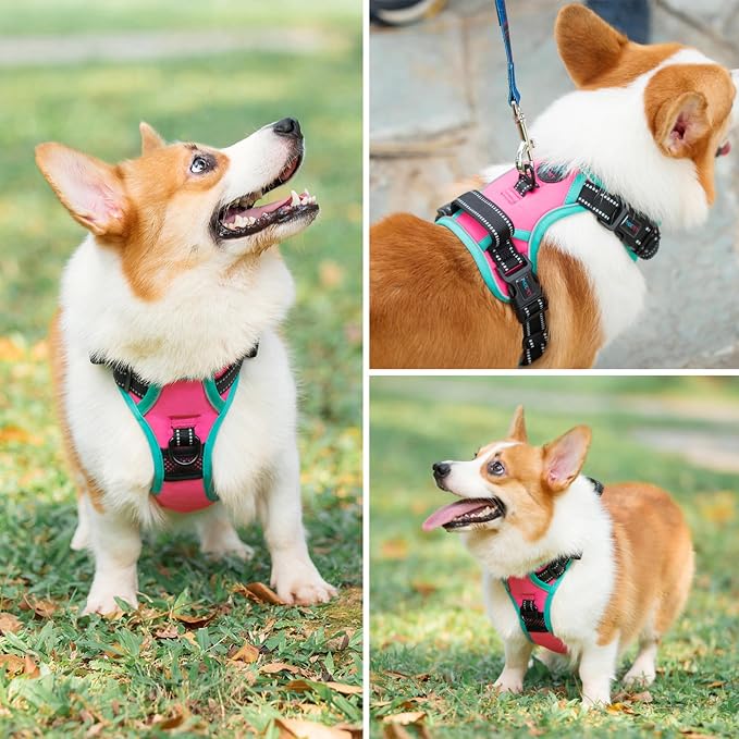Upgraded No Pull Dog Harness, Reflective Adjustable Vest | with a Training Handle + 2 Metal Leash Hooks+ 3 Snap Buckles +4 Slide Buckles(S, Pink) - Image 6