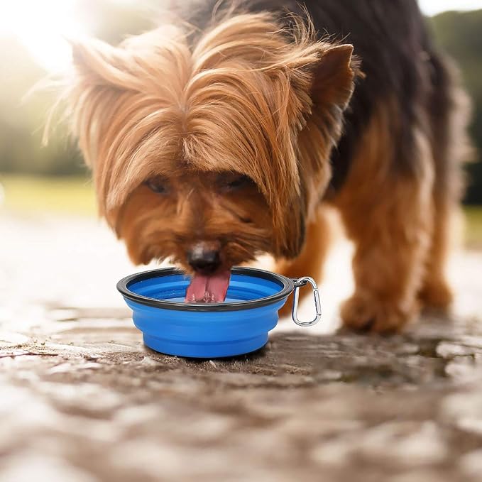 Kytely Large Collapsible Dog Bowls 2 Pack, 34oz Foldable Dog Travel Bowl, Portable Pet Water Food Bowl with Clasp, Pet Cat Feeding Cup Dish for Traveling, Walking, Hiking (Black+Blue) | Portable Dog Water Food Bowl with Clasp, Pet Cat Feeding Cup Dish ... - Image 6