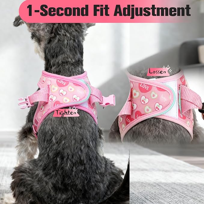 Small Dog Harness and Leash Set - Cute Puppy Harness Leash Dog Collar with AirTag Holder Silicone Case, Soft Padded Step in Pet Vest Reflective for Outdoor Walking, Heart S - Image 5