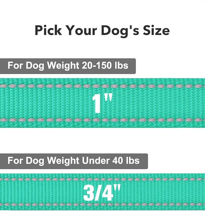 Taglory Reflective Dog Leash for Small Dogs, 3/4in x 5ft, Turquoise | Ideal for Night Walking, Strong for Sudden Pulls, Lightweight & Gentle on the Neck, Soft Padded Handle - Image 4