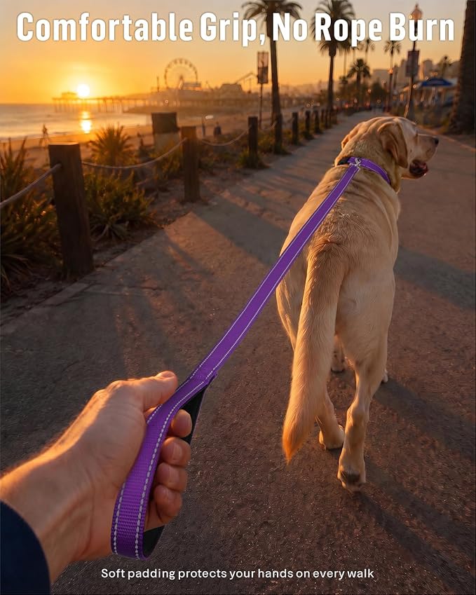 FunTags Reflective Nylon Dog Leash for Medium & Large Dogs, 6FT for Walks | Comfortable Padded Grip, Stay Safe at Night, 360° Anti-Tangle Swivel, for Dog Parks & Trails, Purple - Image 2