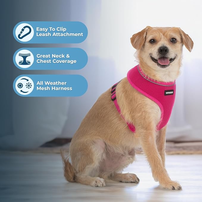 Best Pet Supplies Voyager Aerolite Over the Head Dog Harness, No Pull Breathable Air Mesh Vest, Quick Dry with Reflective Stitching, Adjustable Escape Resistant Harness - Fuchsia, Large - Image 5