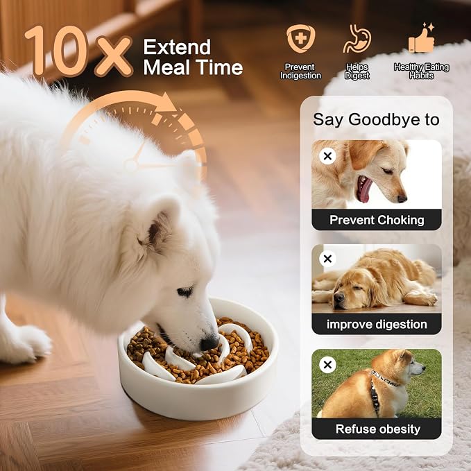 6'' Ceramic Slow Feeder Dog Bowls - Petal Shape Modern Dog Food Dish for Cats and Small Breed Dogs, Puzzle Maze Bowl to Slow Down Eating, Anti-Gulping, Dishwasher & Microwave Safe, White - Image 4