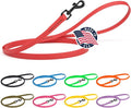 Dogline Biothane Waterproof Dog Leash Strong Coated Nylon Webbing with Black Hardware Odor-Proof Easy to Clean High Performance for Small or Large Dogs Made in USA 4 or 6 ft Lead, Cherry Red by Dogline