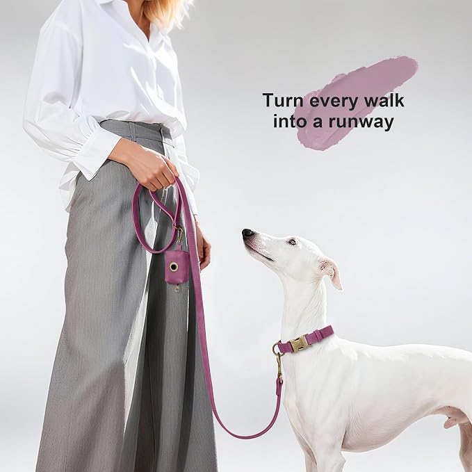 Didog PU Leather Dog Leash for Medium Large Dogs, 3/4in x 5ft, Purple | Soft Grip Full Control, Easy Clean, Metal D-ring for Poop Bag Holder, Tangle-Free 360° Swivel Clasp, for Walking & Training - Image 2