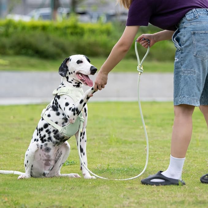 5FT Dog Leash Puppy Cat Rope Lead for Small Medium Large Dogs | Light Green, with Anti-tangle Swivel Clip, Comfortable Non-slip Grip Handle, Ideal for Daily Walks and Training - Image 7