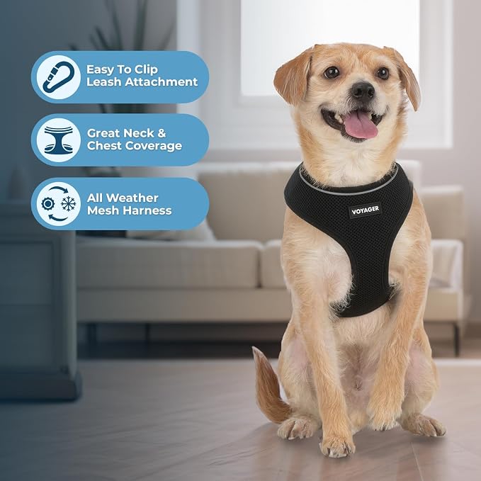 Best Pet Supplies Voyager Aerolite Over the Head Dog Harness, No Pull Breathable Air Mesh Vest, Quick Dry with Reflective Stitching, Adjustable Escape Resistant Harness - Black, X-Small - Image 5
