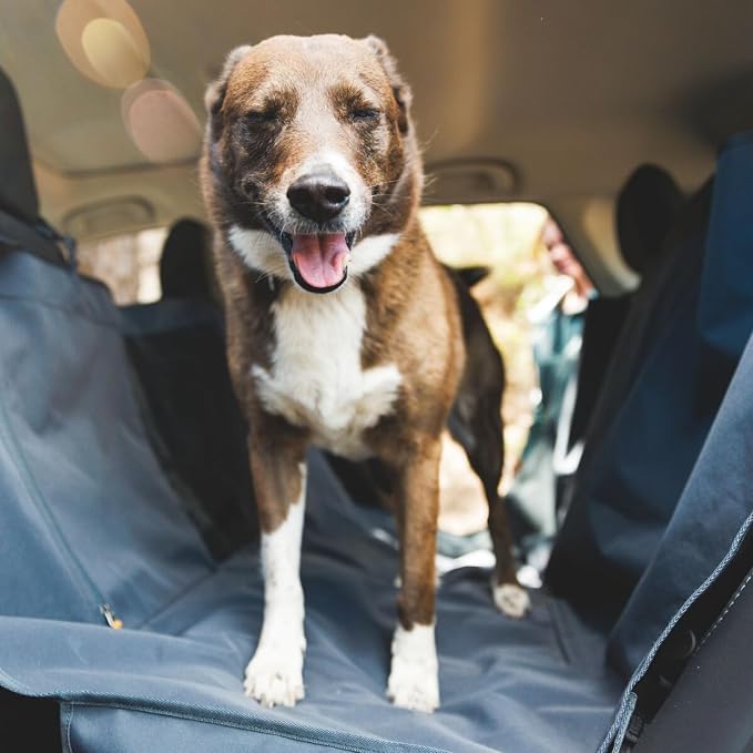 Ruffwear, Dirtbag Dog Car Seat Cover, Waterproof, Basalt Gray | 300D Heavy Duty Scratch Proof Nonslip Hammock or Bench, Durable Machine Washable, Back Seat Protector for Cars, SUVs & Trucks - Image 4