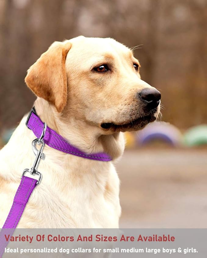 Reflective Dog Collar, Puppy Collar with Buckle Adjustable, Purple XXS | Breathable Nylon Collars for Small Medium Large Dogs, No Chafing on Walks and Outdoor Hikes, Metal D-Ring, Night Safety - Image 7
