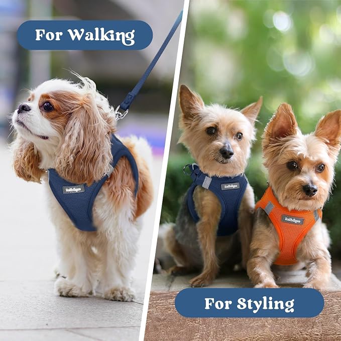 rabbitgoo Step-in Small Dog Harness, Puppy Vest for Small Sized Pet | Easy Put on and off, Lightweight, Soft, Breathable Quick-Dry Air Mesh for Comfortable Secure Walking, Navy Blue S - Image 9