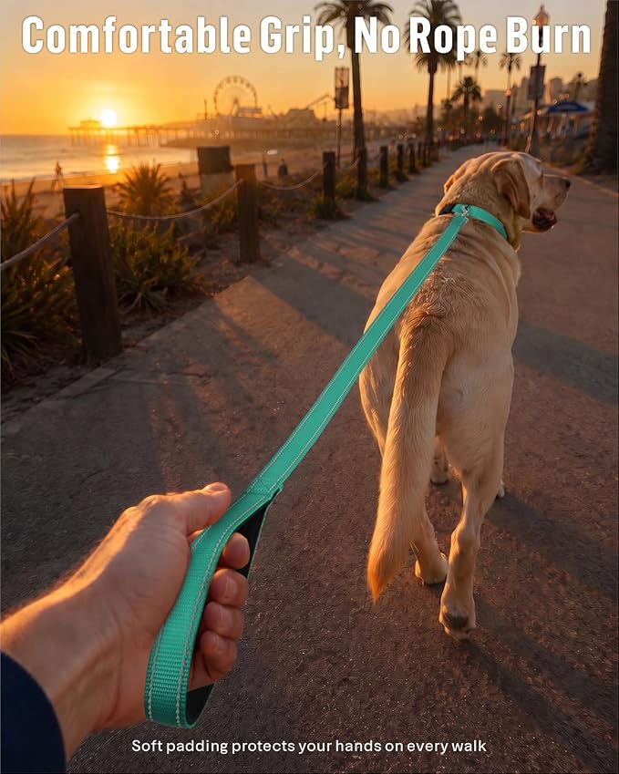 FunTags Reflective Nylon Dog Leash for Medium & Large Dogs, 4FT Training | Comfortable Padded Grip, Stay Safe at Night, 360° Anti-Tangle Swivel, for Dog Parks & Trails, Turquoise - Image 2