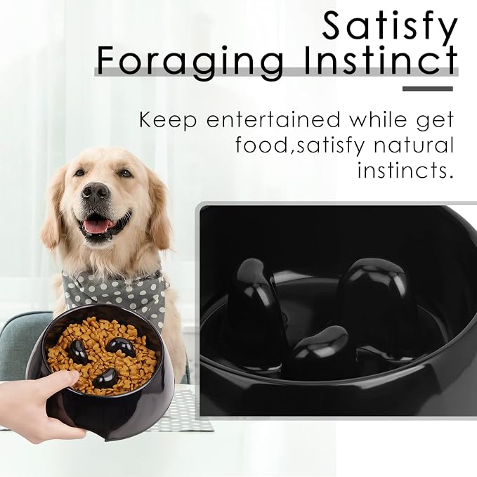 Super Design Slow Feeder Dog Bowl, 1 Cup(Holds Approx. 300ml), Non-Slip, Heat-Resistant, Sturdy, Dishwasher Safe, Suitable for Large Dogs - Image 2