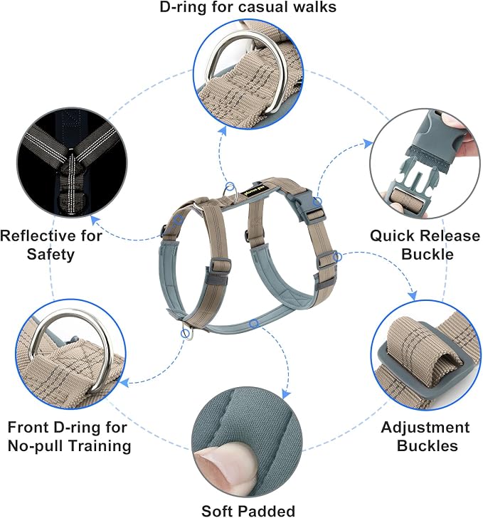 Plutus Pet No Pull Dog Harness, Adjustable Nylon Harness with Soft Padding | Reflective with Front Clip, Heavy Duty for Training and Walking, for Small Medium Large Dogs, Beige, XS - Image 2