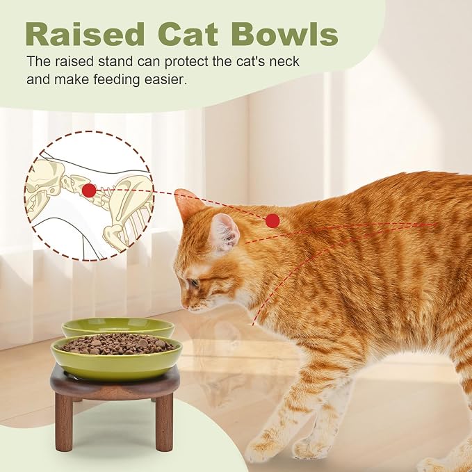SPUNKYJUNKY Extra Wide Elevated Ceramic Cat Bowl with Acacia Wood Stand Whisker Friendly (Cat Paw Pattern, Green) - Image 3