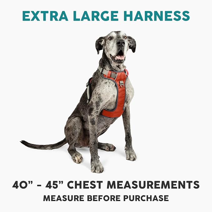 Embark No Pull Dog Harness, Reflective Adjustable Training Vest, No Choke | Adjustable straps fit all dog breeds with sturdy hooks; 360° reflective trim, soft padded Harness Design for All Dogs - Image 2