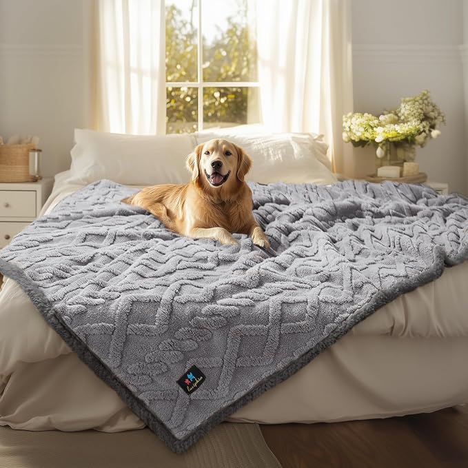 Luciphia Waterproof Blanket for Twin Bed Reversible Fleece Couch Cover | Reversible waterproof pet blanket soft fleece machine washable protect couch bed, Light Grey 85" x 57" by luciphia