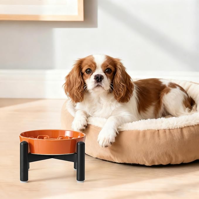 Elevated Slow Feeder Dog Bowl, 0.8 Cups Ceramic Raised Slow Feeder with Stainless Stand, 6.3 Inch Wide Lifted Dog Bowl for Small Breeds to Control Eating Speed, Orange - Image 7