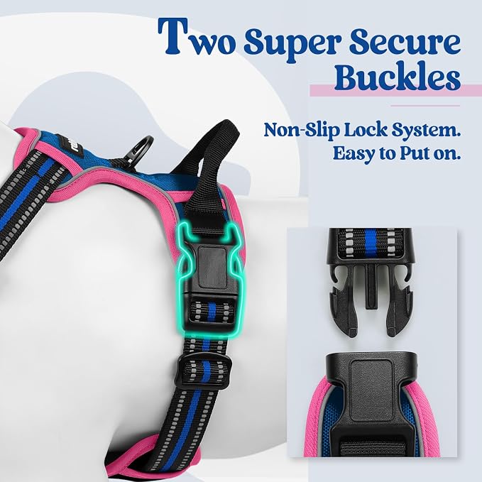 rabbitgoo Dog Harness, No Pull for Large Dogs with 2 Leash Clips, Pet Vest | No Choke with Handle, Adjustable Soft Padded, Reflective, Easy Control for Walking, Blue & Hot Pink, X-Large - Image 3