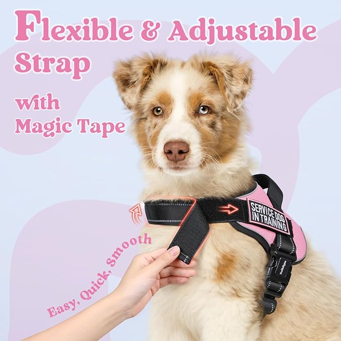 rabbitgoo No Pull No Choke Pet Vest, Adjustable Pet Harness with Molle | Large Sized Dog Harness, Reflective, Easy Wearing with One Buckle for Walking, Training, Pink, L - Image 5
