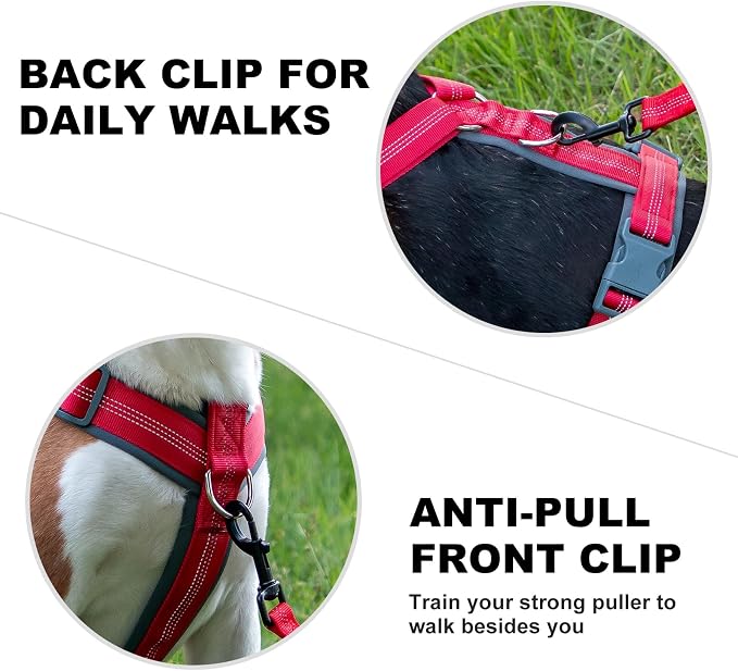 Plutus Pet No Pull Dog Harness, Adjustable Nylon Harness with Soft Padding | Reflective with Front Clip, Heavy Duty for Training and Walking, for Small Medium Large Dogs, Red, L - Image 4