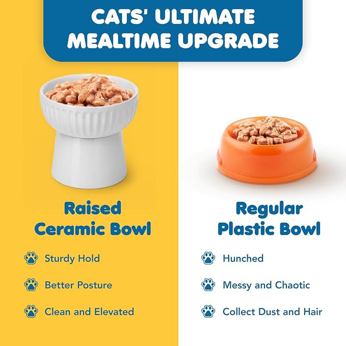 SunGrow Ceramic Cat Bowl with Stand, Suitable Eating Height for Pets, Raised Food Bowl, Mealtime for Your Cats, Stoneware Feeding Station - Image 6