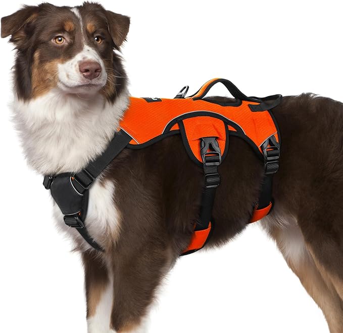 rabbitgoo Escape Proof Dog Harness for Medium, No Pull with Lift Handle | No Escape, Full Soft Padded, Reflective Adjustable Vest, Leash Clip for Walking Hiking Training, Orange, Medium by rabbitgoo