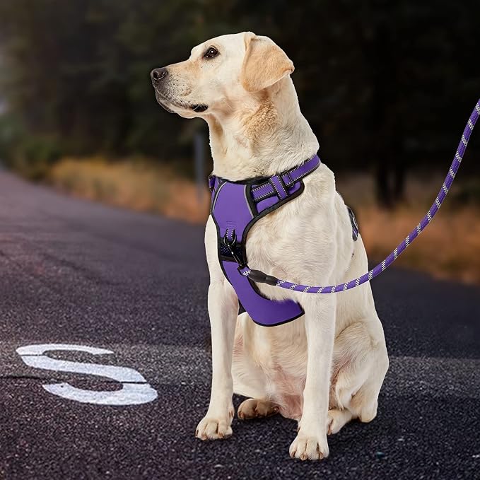IVY&LANE No Pull Dog Harness for Small Dogs, Dog Vest Harness with Leash, Safety Belt and Storage Strap, Fully Adjustable Harness, 360° Reflective Strip, Soft Handle (Purple, XS) - Image 7