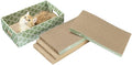 MECOOL Cat Scratching Board，5PC Cat Scratch Pad with Box，Reversible Corrugated Cat Scratcher Cardboard and Lounge Bed for Indoor Cats, Catnip by MECOOL