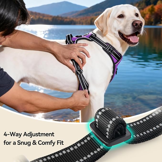 Reflective Dog Harness No Pull Large Breed Vest | with 2 Metal Leash Attachment Hooks(L, Purple) - Image 7