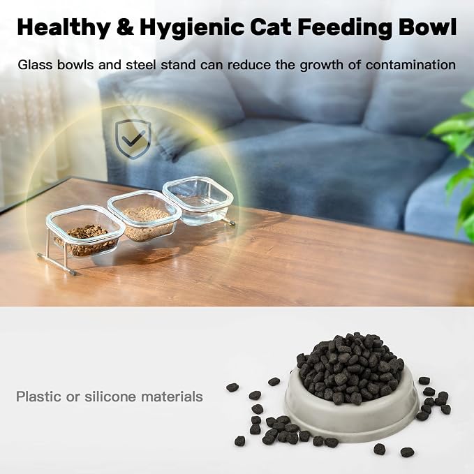 Elevated Cat Bowls, 15° Tilted Glass Raised Cat Food and Water Bowl | Stainless Steel Stand, 3 Large Capacity Glass Cat Bowls and 4 Anti Slip Feet, Suitable for Cats and Little Dogs - Image 6