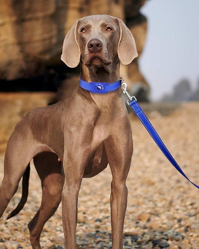 4FT Reflective Dog Leash, Padded Handle for Medium Large Dogs | Comfortable Nylon, Soft Handle Cushioning, Reflective Safety at Night, Training Leash for Park & Hiking (1in, Royal Blue) - Image 2