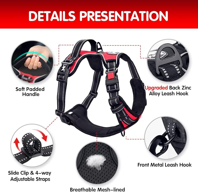 PoyPet Dog Harness and Leash Set, No Pull Vest with Front Clip and Handle | Escape Proof, Reflective, 3 Buckles, 2 D-rings, Adjustable, Soft Padded, 5 Feet Leash, for Walking Training, Red, S - Image 7