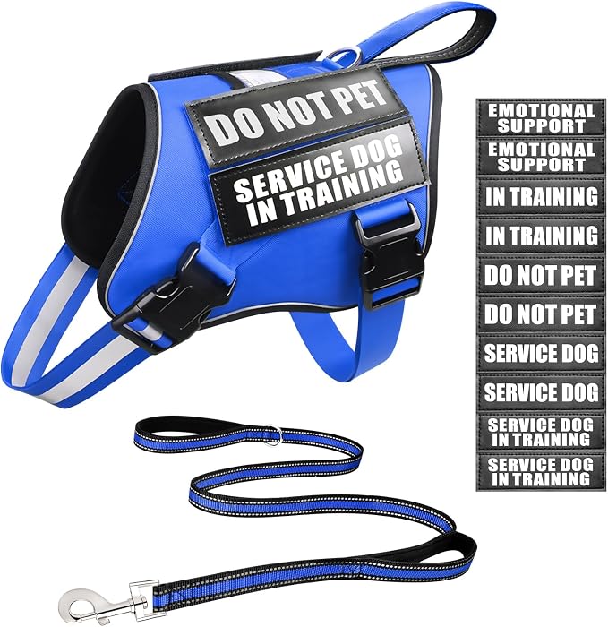 Service Dog Vest Harness and Leash Set+10 Patches,Easy Walk Blue S | No Pull&Adjustable Reflective Dog Harness Small Sized,Dog Leash with 2 Soft Padded Handles,for Training Hiking Walking by MOOGROUPETSFRIEND