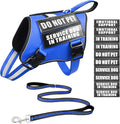 Service Dog Vest Harness and Leash Set+10 Patches,Easy Walk Blue S | No Pull&Adjustable Reflective Dog Harness Small Sized,Dog Leash with 2 Soft Padded Handles,for Training Hiking Walking by MOOGROUPETSFRIEND