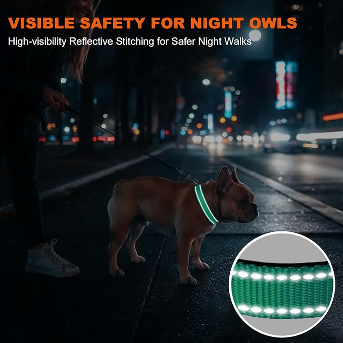Taglory Reflective Dog Collar for Medium Dogs, Soft and Safe for Daily Walk | Soft Neck Cushioning, Adjustable 14-20 in, Sturdy Webbing Withstands Strong Pullers, Zinc Alloy D-Ring for Leash and ID Tags - Image 5