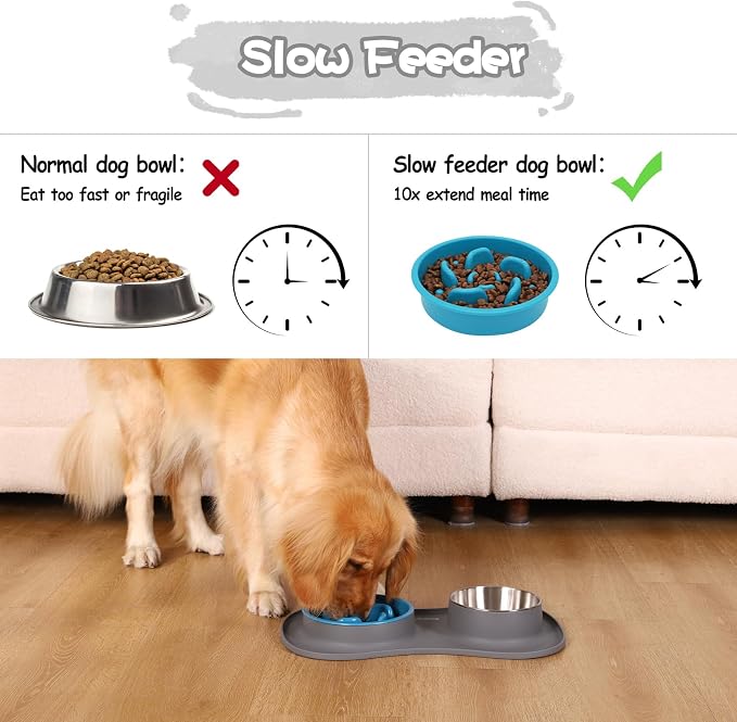 MateeyLife Dog Food and Water Bowl Set 3 in 1, Slow Feeder Dog Bowls & Stainless Steel Water Bowl with Non-Spill Silicone Mat, Cat and Puppy Bowls Pet Dishes for Small Medium Large Breed Anti-Choking - Image 2