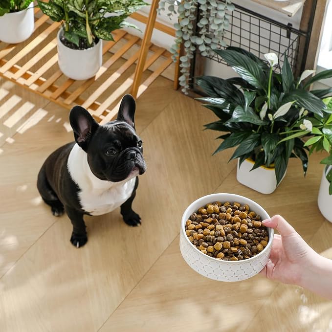MALACASA Ceramic Dog Food Bowl, Water Dish for Small Breeds, 1.5 Cups | Honeycomb Pattern, Ceramic Pet Bowl, Food and Water Dish, Dishwasher and Microwave Safe, for Small Dogs and Cats - Image 3