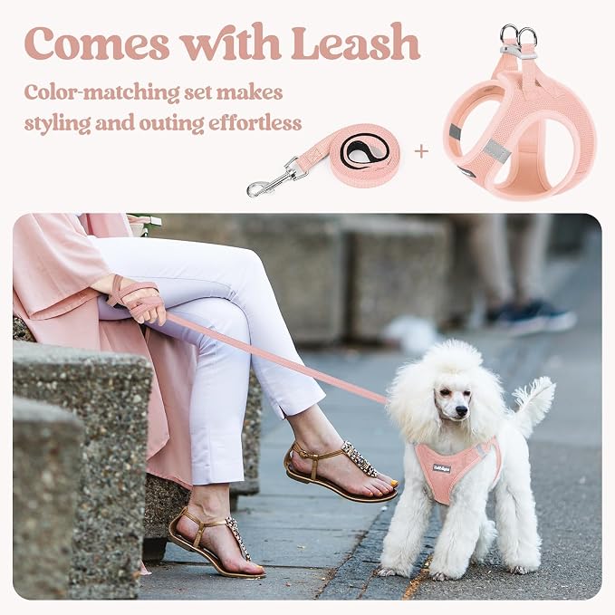 rabbitgoo Dog Harness Medium Sized and Leash Set, Step-in Puppy Pet Vest | Light, Soft, Breathable Air Mesh, Easy on and Remove with Hook & Loop, Secure Reflective for Walking, Pink XXL - Image 5