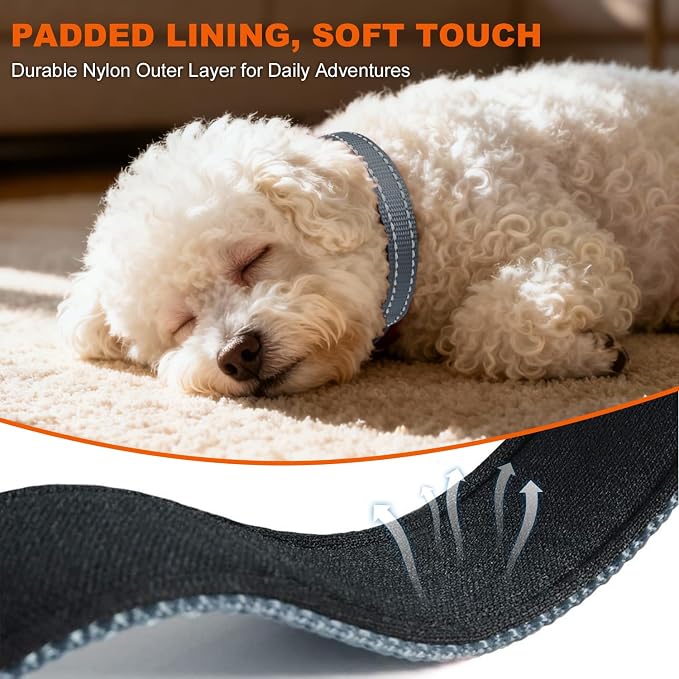 Taglory Reflective Dog Collar for Puppies, Gentle and Safe for Night Walks | Night-Walk Visibility, Soft Neck Cushioning, Adjustable 8-12 in, Locking Buckle, D-Ring for Leash and ID Tags - Image 4