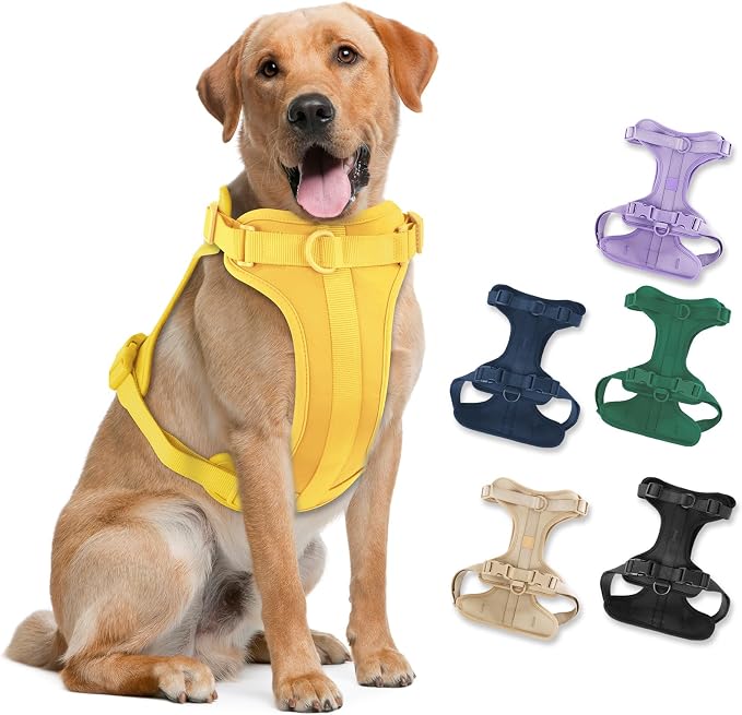 Wisedog No Pull Dog Harness, Butter Yellow, Large | Lightweight, Adjustable Breathable Pet Vest, Soft & Comfortable Cushion, Small Medium Large Dogs by WisedogPetSupplies